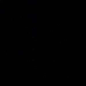 Meet your Posher, Chase